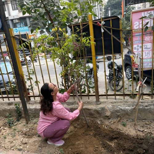 Environment
